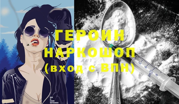 гашик Няндома