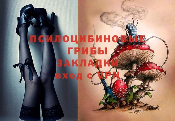 гашик Няндома