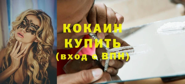 гашик Няндома