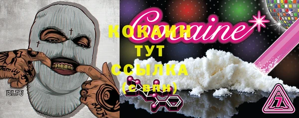 гашик Няндома