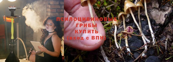 гашик Няндома