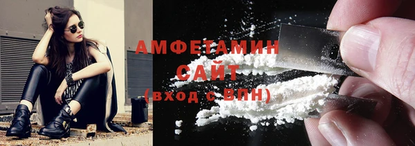 гашик Няндома