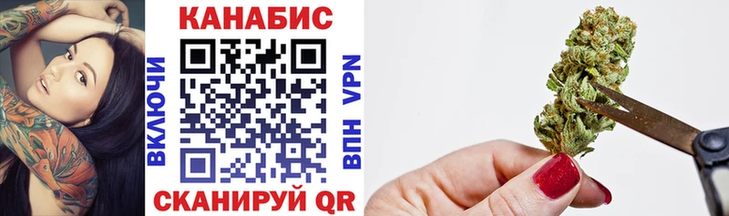 Бошки Шишки SATIVA & INDICA купить наркотики сайты кракен ССЫЛКА Саранск
